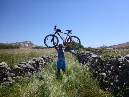 YummyPedals groups 8