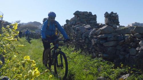 YummyPedals guide Dimitris